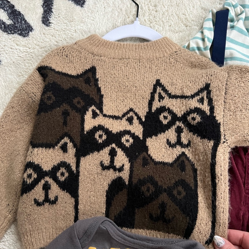 Zara Kids Raccoon Sweater